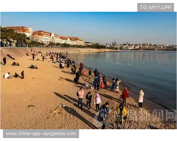 美国坐镇主场迎战非洲劲旅：一场全球瞩目的力量对决